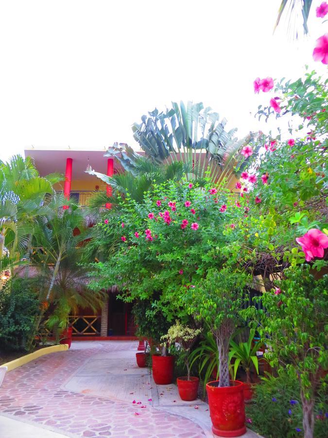 La Cruz Inn La Cruz de Huanacaxtle 외부 사진